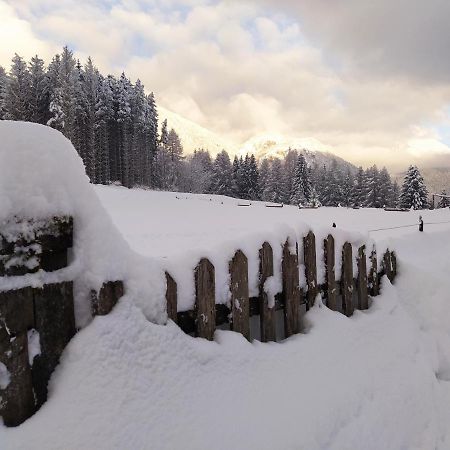 Siora Lina Appartamenti Vigo di Cadore Buitenkant foto