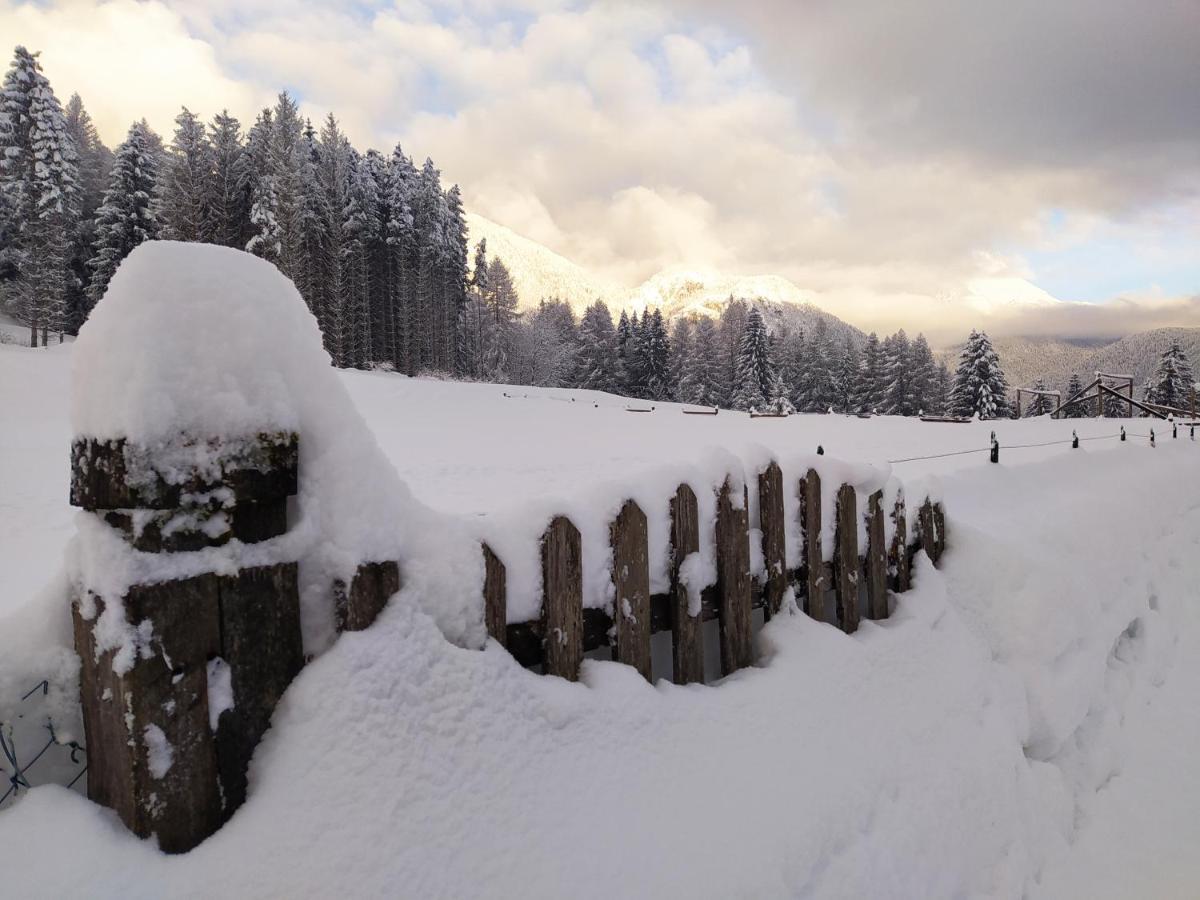 Siora Lina Appartamenti Vigo di Cadore Buitenkant foto